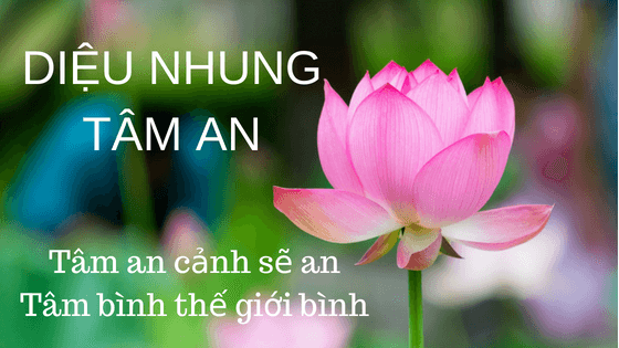 diệu nhung tâm an giới thiệu