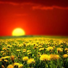 sách phật giáo hay nên đọc - chat với thế giới bên kia