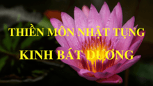 kinh bát dương, thần chú bát dương, https://dieunhung.com/