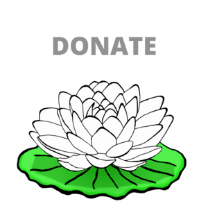 Donate to Dieu Nhung Tam An