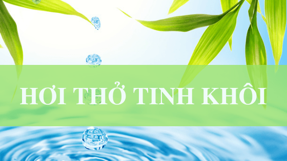 Sách thực tập thiền và chánh niệm trong đời sống hàng ngày Hơi Thở Tinh Khôi https://dieunhung.com/ Sách thực tập thiền và chánh niệm trong đời sống hàng ngày Hơi Thở Tinh Khôi https://dieunhung.com/